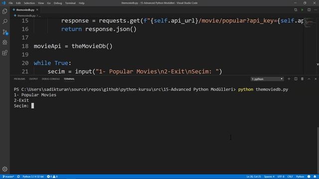 Python - Örnek Api Uygulaması смотреть онлайн