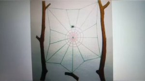 «Как пауки плетут паутину?»— урок для любопытных ребят