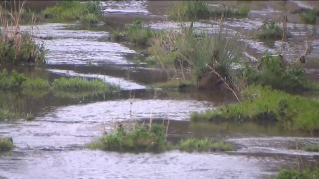 South Bay doctors see unprecedented amount of patients over sewage crisis смотреть онлайн