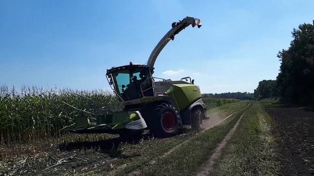 Демонстрация комбайна CLAAS JAGUAR 850 + RU 450 XTRA C Курская обл., Глушковский р-н смотреть онлайн