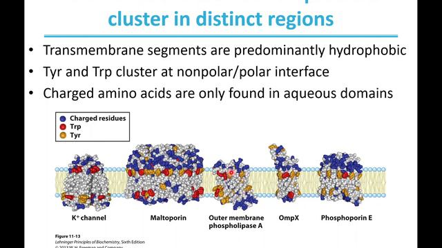 Lecture 13: Membranes - 10/20/20 смотреть онлайн