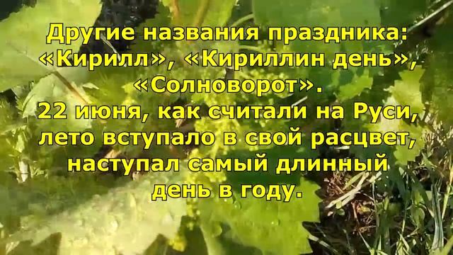 Народный праздник «Кириллов день». Приметы и традиции на 22 июня. смотреть онлайн
