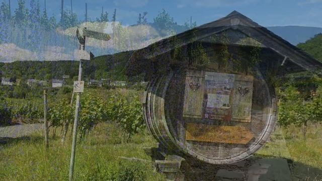 Moselwanderung Von Kinheim Nach Bernkastel-Kus.