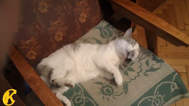 Как правильно умываться смотреть онлайн