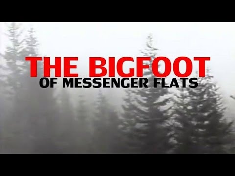 'The Bigfoot Of Messenger Flats' | Paranormal Stories