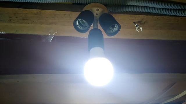 Правильное освещение в курятнике. 5 советов. смотреть онлайн