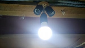 Правильное освещение в курятнике. 5 советов.