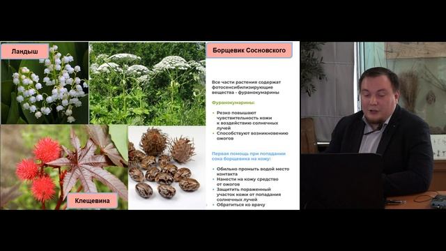 Лекция "Пикник без вреда для здоровья" смотреть онлайн