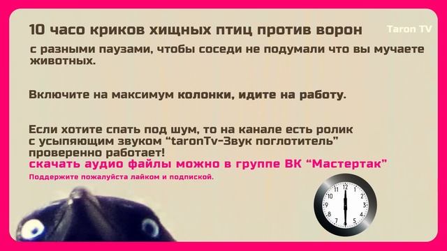 10 часов звуков хищных птиц против ворон и голубей. Тарон ТВ смотреть онлайн