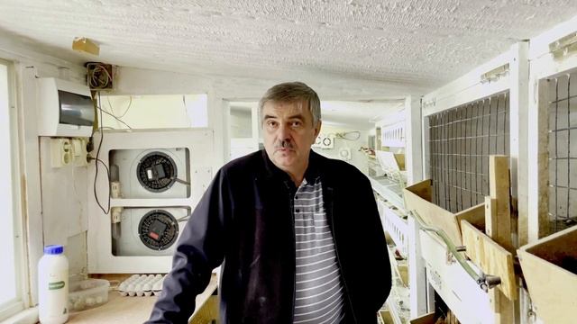 Можно ли заработать на птице/Ошибки при Строительстве курятника Часть2 смотреть онлайн