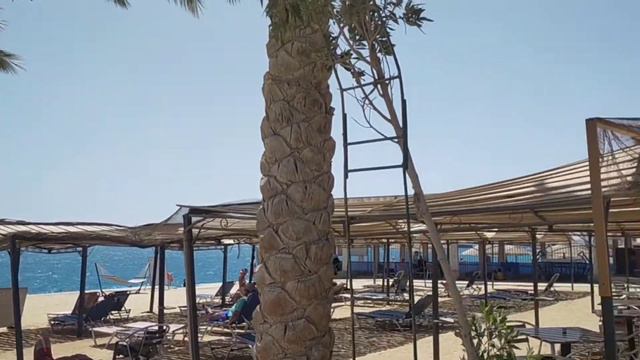 king tut aqua park beach & sphink aqua park beach resort смотреть онлайн