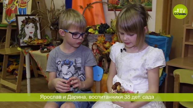 Ярослав и Дарина об осенних поделках. 38 дет. сад. Шушары смотреть онлайн