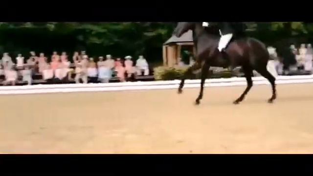 Оствинд клип 1 часть смотреть онлайн