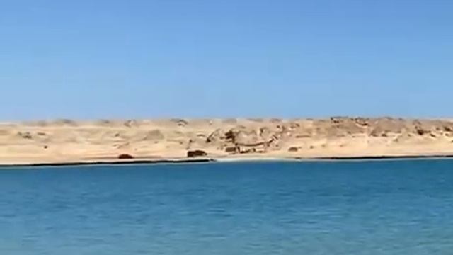 приколы в Рас Мухаммеде С итальянскими туристами ;) смотреть онлайн
