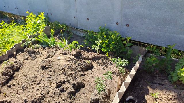 обзор огорода смотреть онлайн