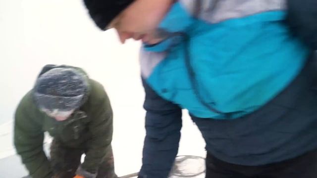 Какую рыбу выращивают в Сургуте? Сургутский рыбхоз. смотреть онлайн