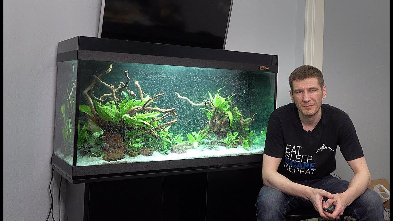 Запуск и оформление с нуля неприхотливого травника смотреть онлайн