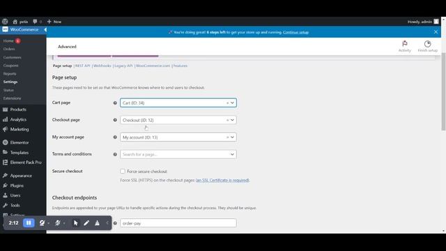 Petix - Pet Shop Elementor Woocommerce WordPress Theme Installation & Setup смотреть онлайн