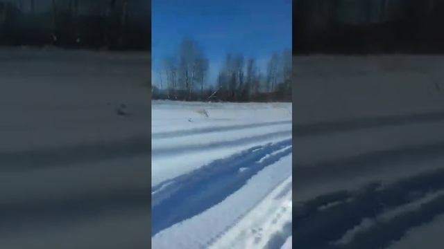 Рысь снегоход с двигателем лифан 18.5 л.с смотреть онлайн