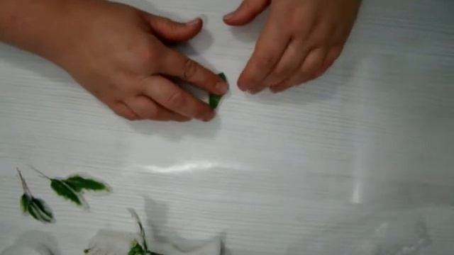 Мастер класс "Молочай окаймленный" из холодного фарфора смотреть онлайн