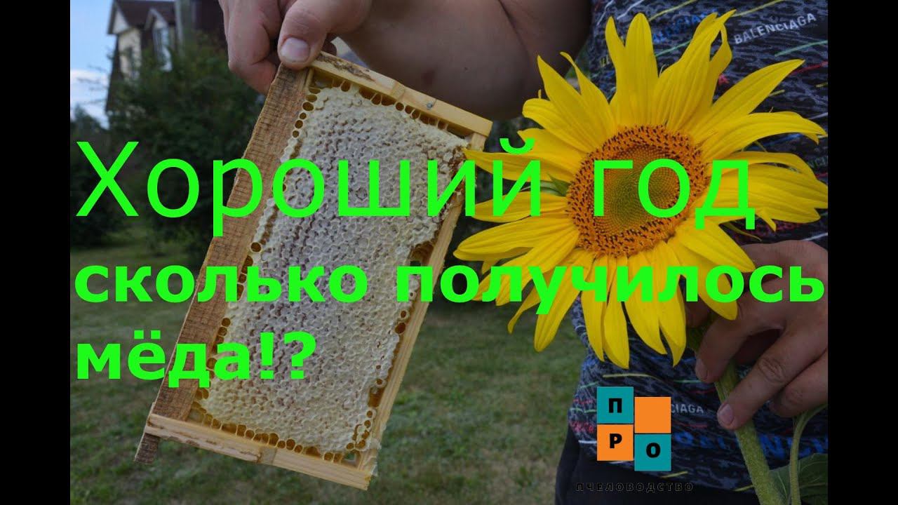 Хороший год! Пчеловодный сезон 2020, отбираем и качаем мёд. смотреть онлайн