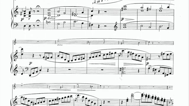 Grand Duo Concertant - I. Allegro con fuoco - C. M. v. Weber [PIANO ACCOMPANIMENT FOR CLARINET] смотреть онлайн