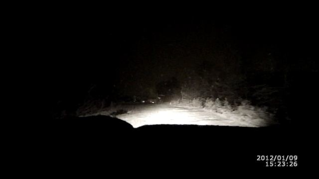 заяц, белый смотреть онлайн