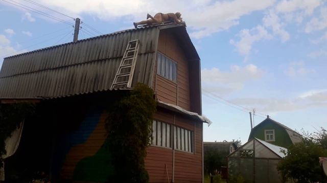 русские женщины смотреть онлайн