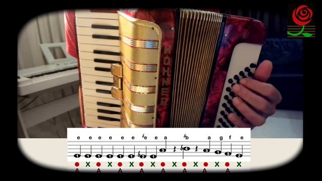 How to play Bubamara on Accordion www.gypsyaccordion.com смотреть онлайн