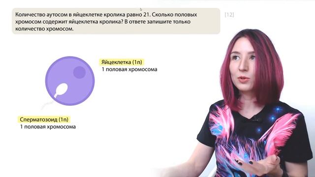 Задание №3 | Все типы биологических задач | ЕГЭ-2024 по биологии смотреть онлайн