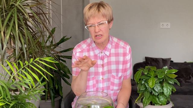 Вода из аквариума для РАСТЕНИЙ. Посеем Пожуем