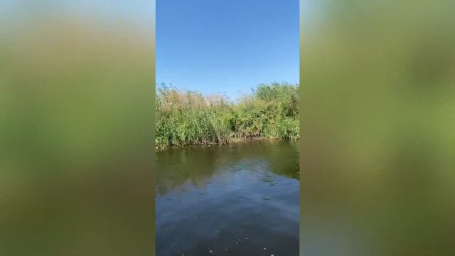 Самое лучшее место на земле ❤️. смотреть онлайн