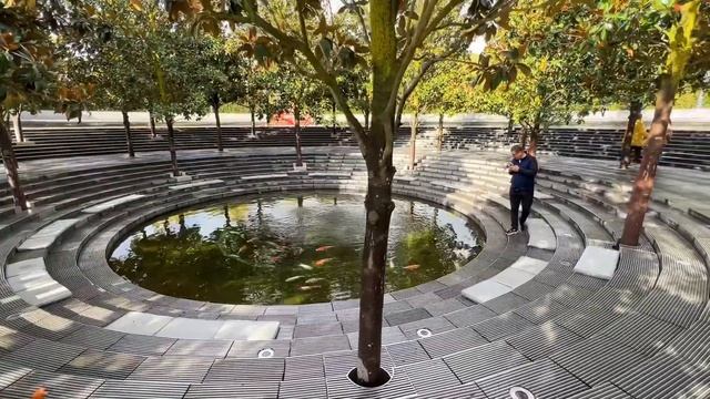 Золотая осень в парке Галицкого прямо сейчас. 31.10 смотреть онлайн