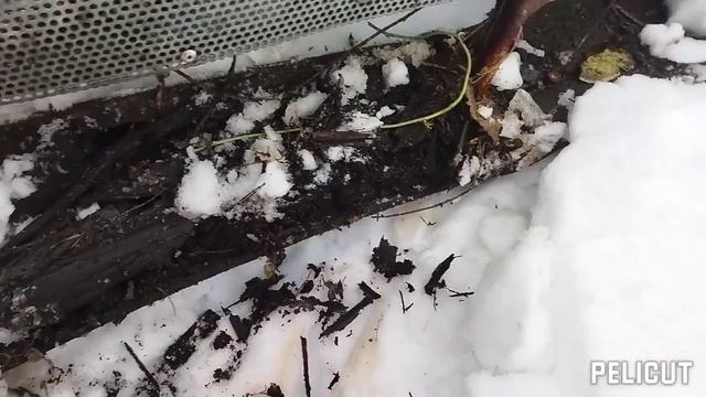 Гусянка на Мотоблок для покатушек смотреть онлайн