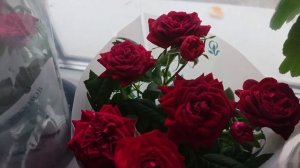 ВЛОГ. Культурным НЕ СМОТРЕТЬ! Дети Пукают! / Трёшка после Квартирантов / Как Зимуют Пчёлы