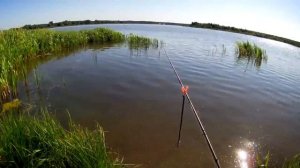 Рыбалка на реке Жабня #1 - Первый заброс