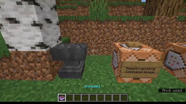 Minecraft. Question: Does keepinventory gamerule keep curse of vanishing items on the world? смотреть онлайн