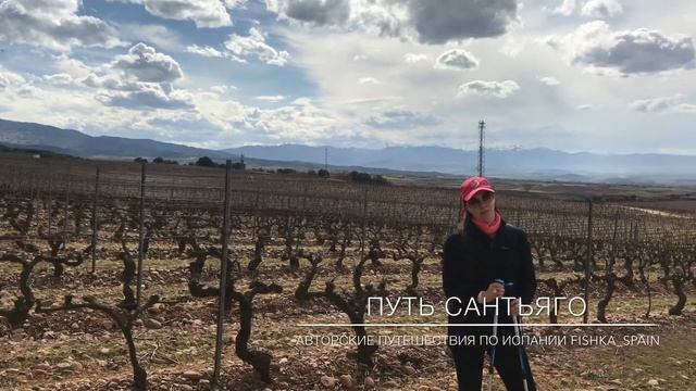 Camino de Santiago. Путь Сантьяго смотреть онлайн