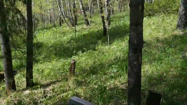 "Машина" повышенной проходимости. Вездеход снегоболотоход. Каракат. смотреть онлайн