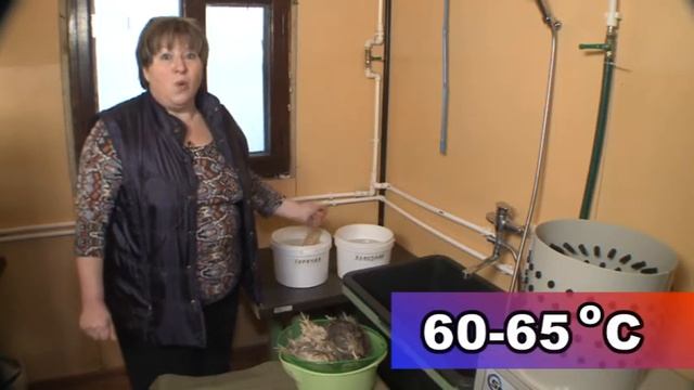 Разведение перепелов от А до Я. Анонс фильма от Пёлкин дом. смотреть онлайн