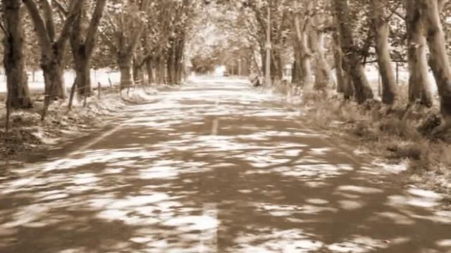 Gabriel Yared / The English Patient (convento Di Santánna)