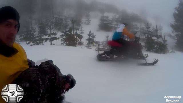 Бешеная Собака Dingo )))) смотреть онлайн