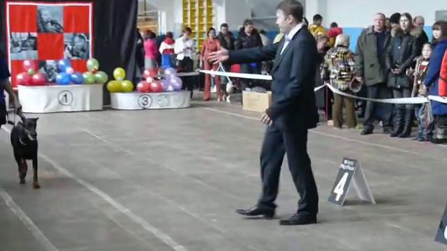 Моно ДОБЕРМАНОВ Челябинск 13.02.11 Прозоров.Д. смотреть онлайн