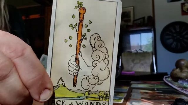 Release Your False Twin - Embrace Your Power - Bring In Your True Twin смотреть онлайн