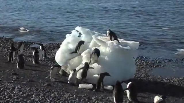 Antarctica In 5 Minutes
