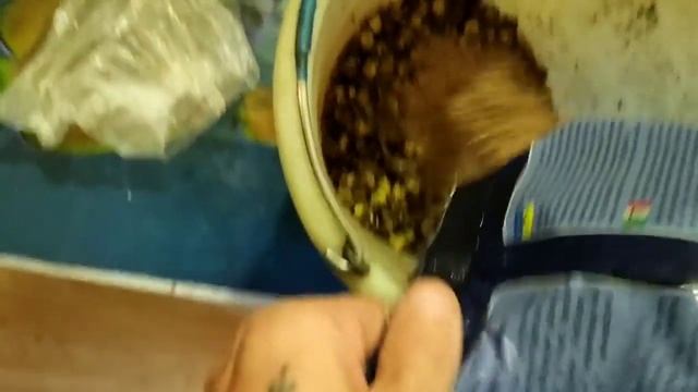 Как приготовить пьяную прикормку для карпа и карася!!! смотреть онлайн