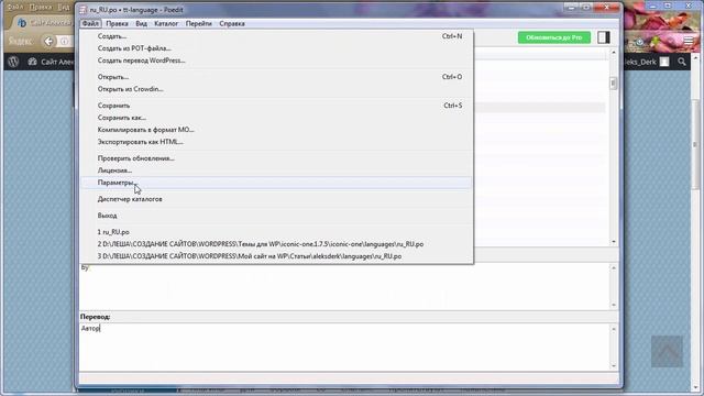 Русификация темы WordPress смотреть онлайн