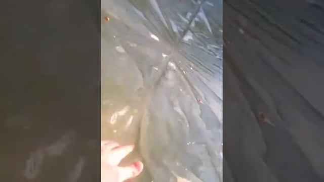 Открытие 2 канала! смотреть онлайн