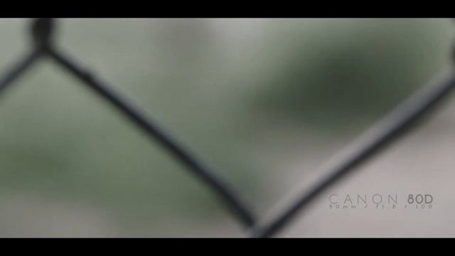 Canon 80D - Fokustest IV ( LowLight ) смотреть онлайн