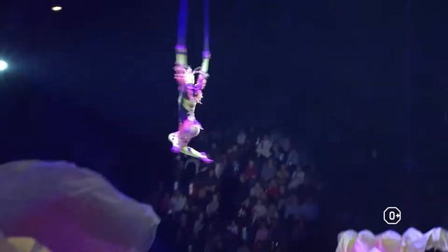 Новогоднее цирковое шоу «Морозко»! смотреть онлайн